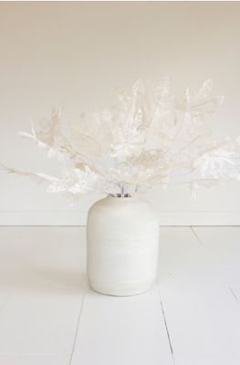 Botanica #2815 Botanica #2815