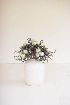 Botanica #2841 Botanica #2841