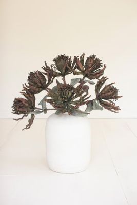 Botanica #3612 Botanica #3612