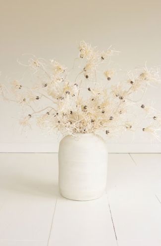 Botanica #2801 Botanica #2801