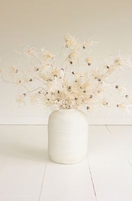 Botanica #2801 Botanica #2801