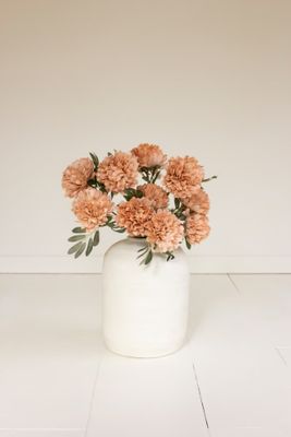 Botanica #3567 Botanica #3567