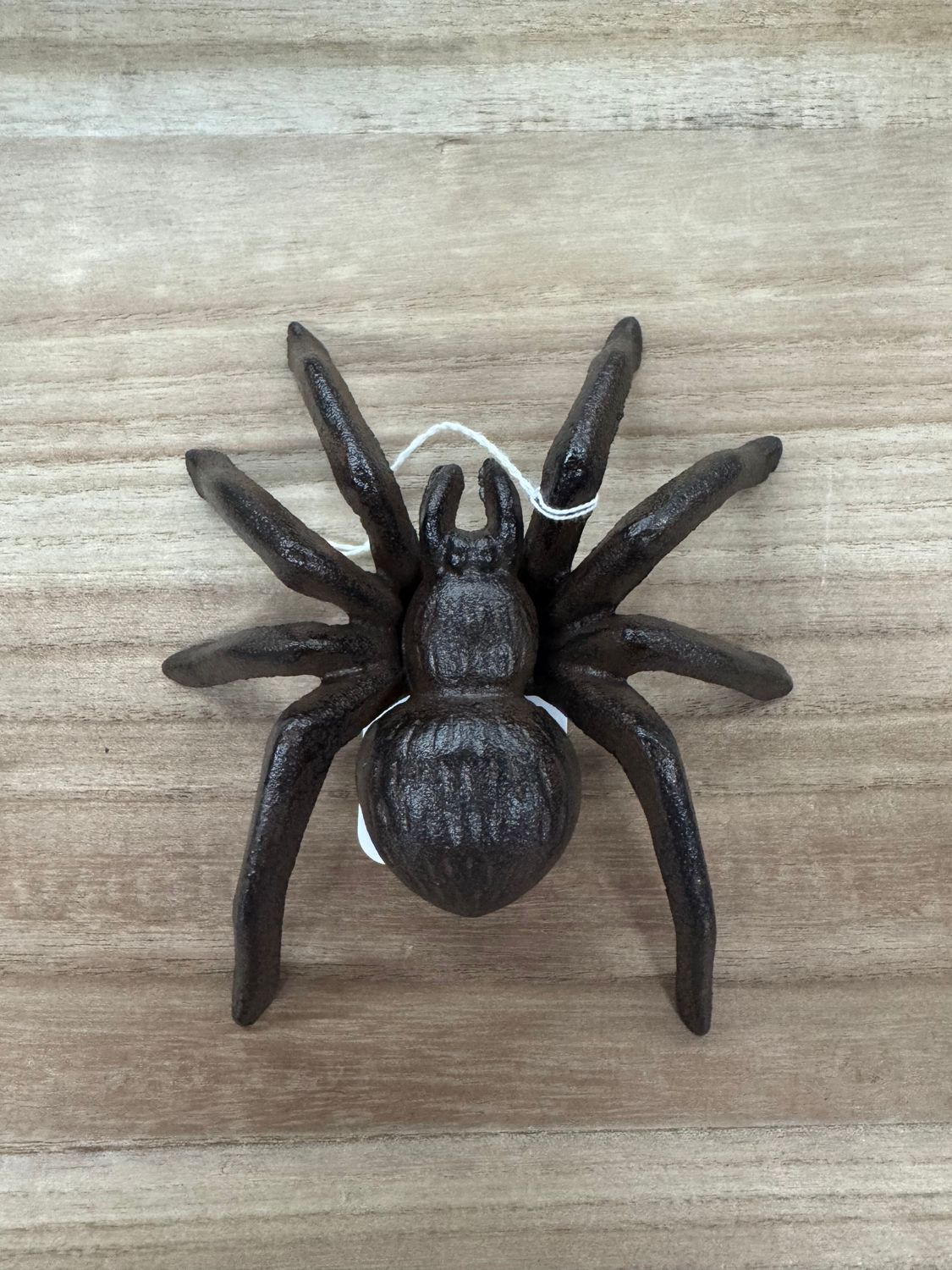 Cast Iron Spider