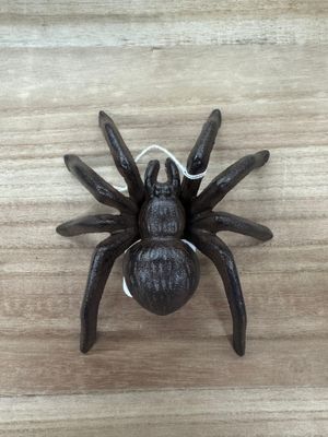Cast Iron Spider