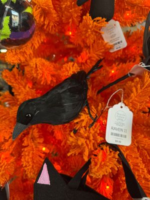 Raven II