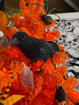 Raven I