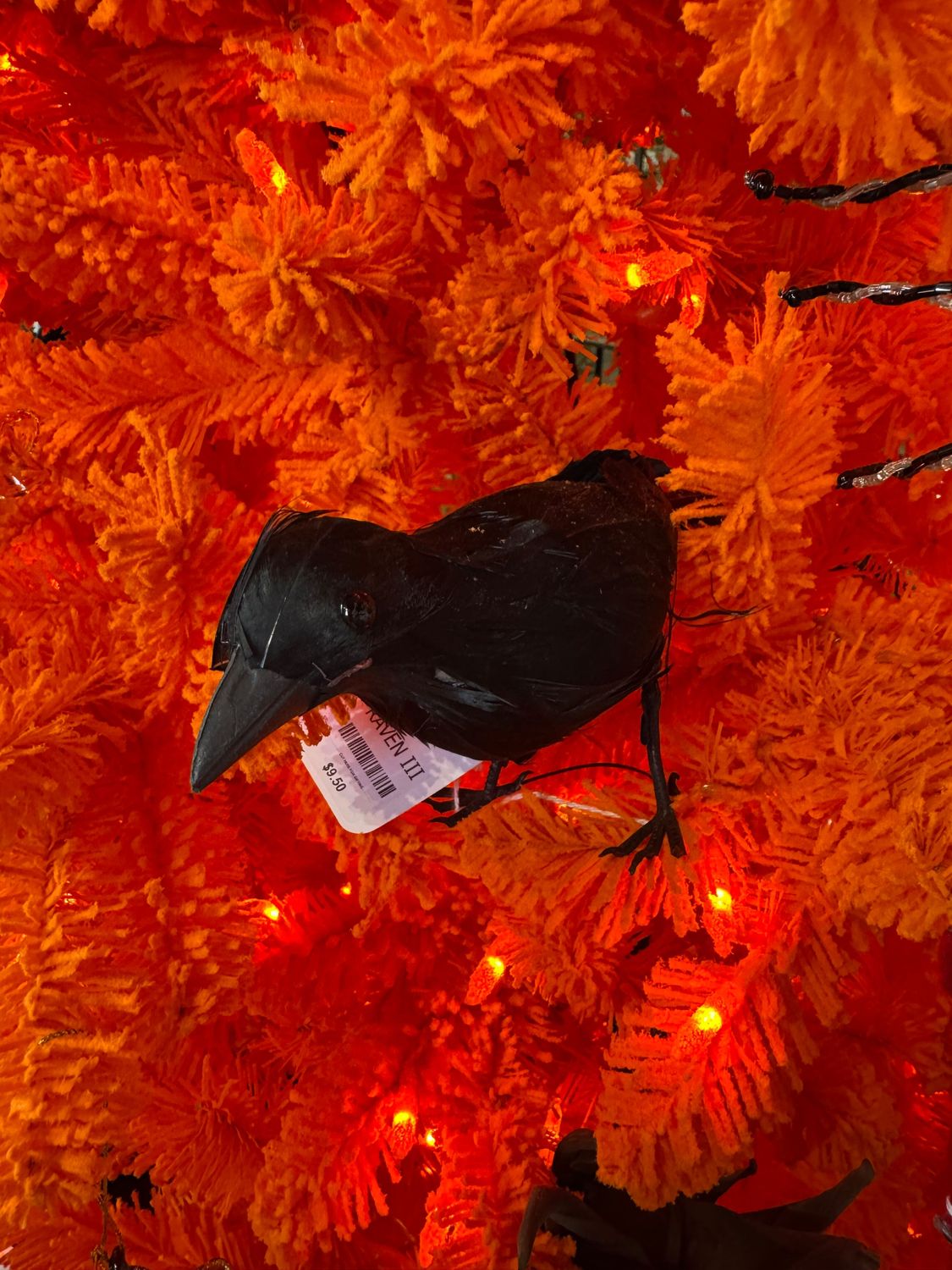 Raven III