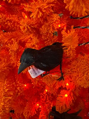 Raven III