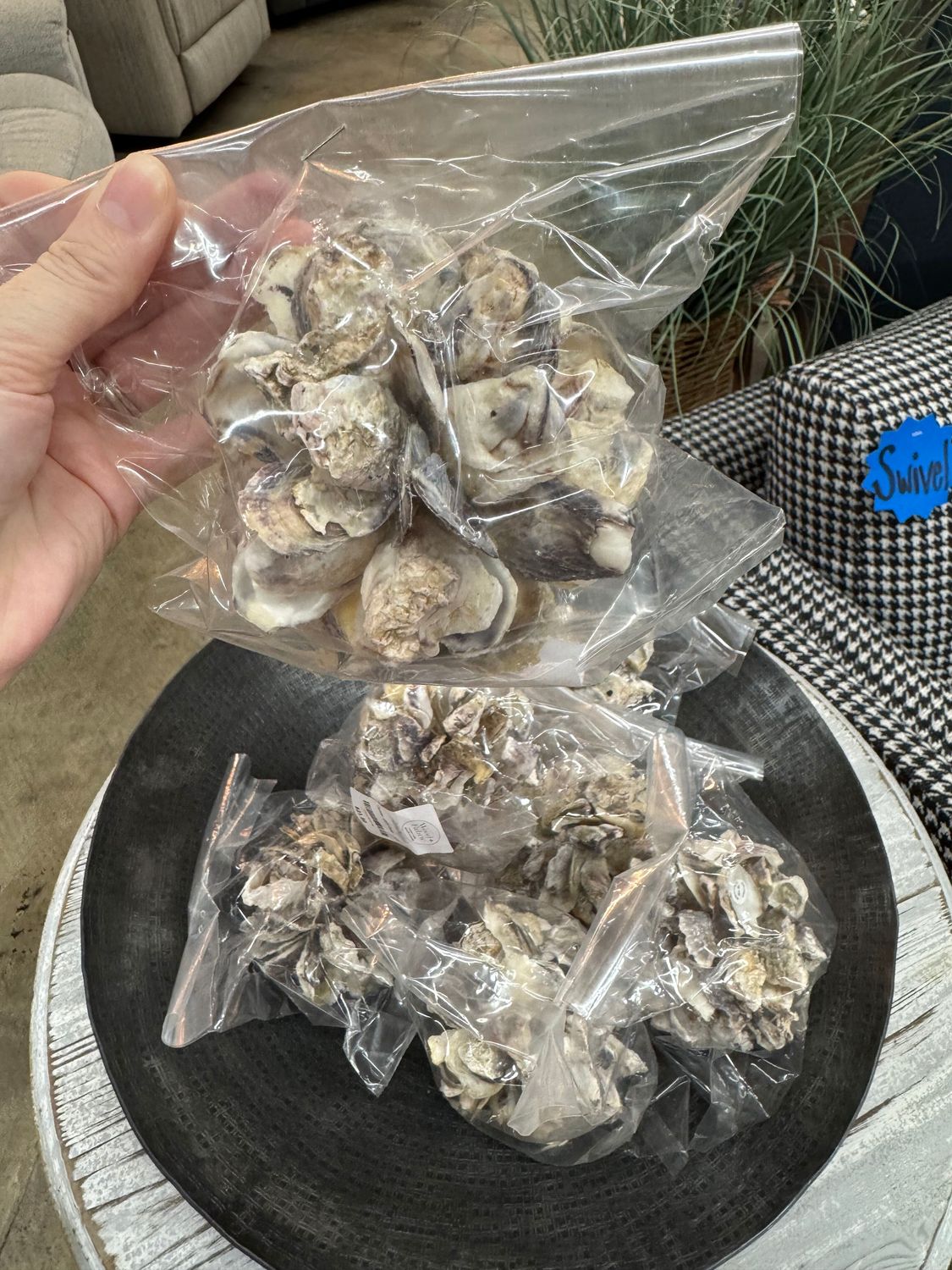 Oyster Shell Ball - 4"R Oyster Shell Ball - 4"R