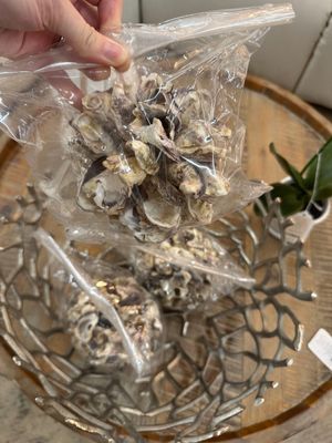 Oyster Shell Ball - 5&quot;R