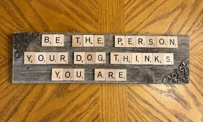 Person Dog Thinks You Are Scrabble Large Wall Plaque 12"L x 3.5"H Person Dog Thinks You Are Scrabble Large Wall Plaque 12"L x 3.5"H