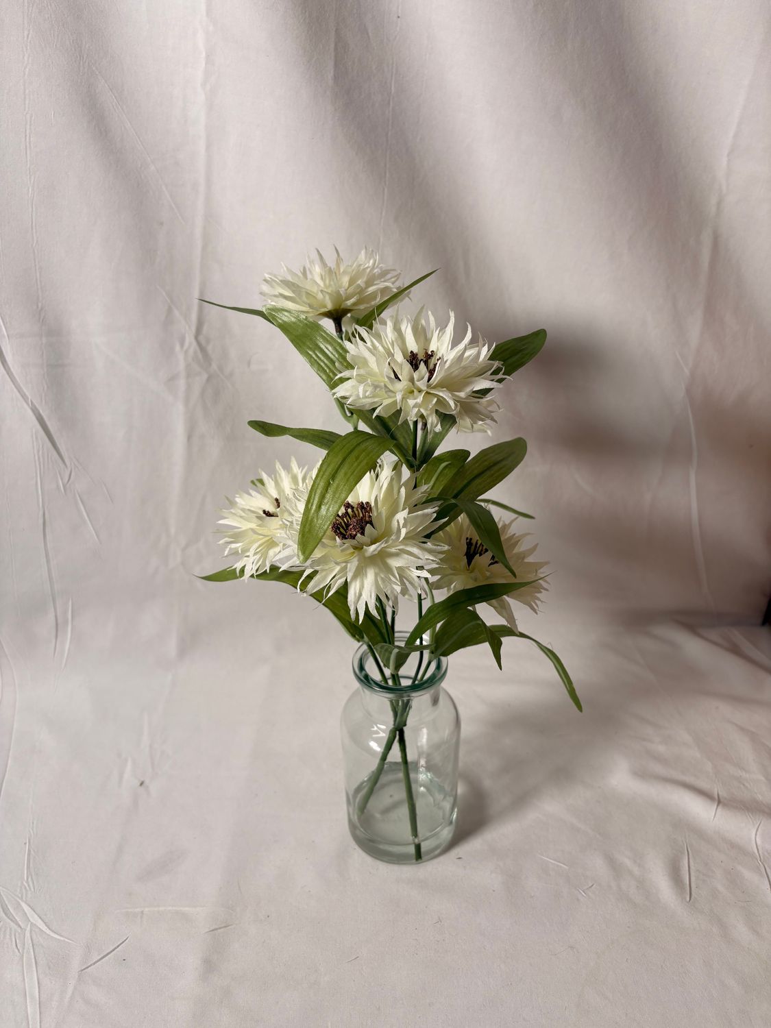 Cosmos in Glass Vase 13" White