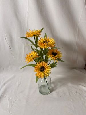 Cosmos in Glass Vase 13" Yellow Cosmos in Glass Vase 13" Yellow