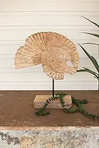 Teak Nautilus Shell on a Stand Teak Nautilus Shell on a Stand