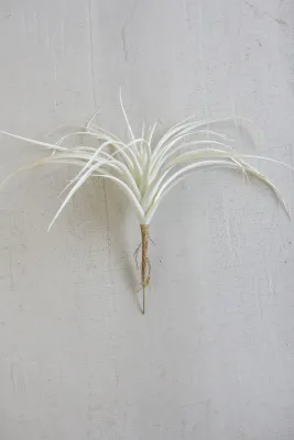 White Air Plant Large