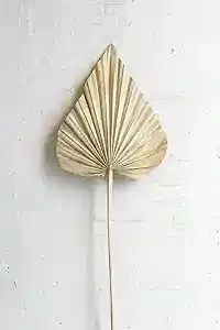 Large Natural Palm Spear