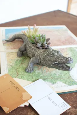 Ceramic Alligator Planter Ceramic Alligator Planter