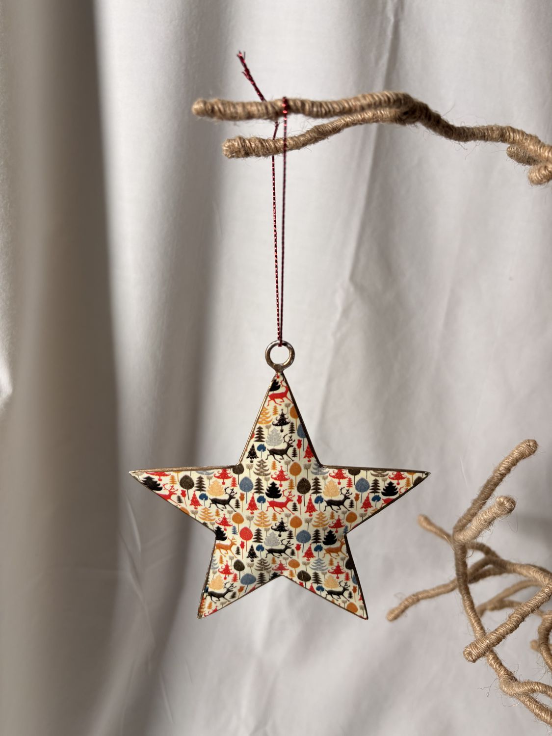 Metal Winter Wonderland Ornament - Star