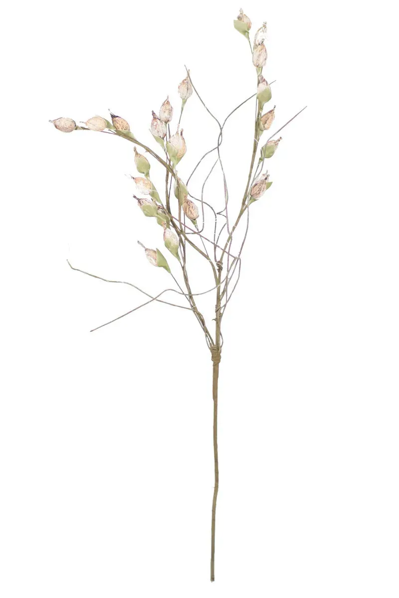 Botanica - CSL1261 Botanica - CSL1261