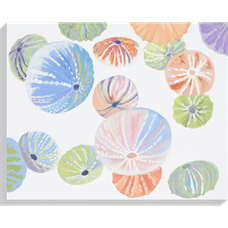 Sea Urchins 40"H x 50"W Sea Urchins 40"H x 50"W