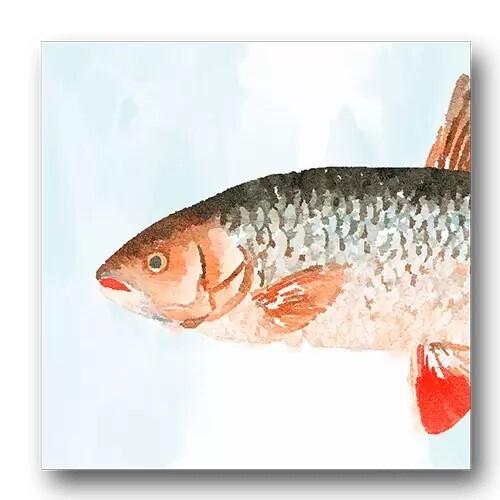 Fish Heads V Fish Heads V