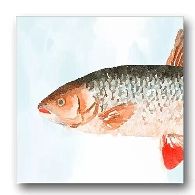 Fish Heads V