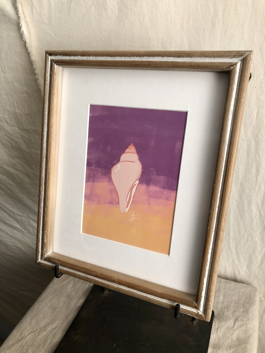Framed Sea Shell Under Glass V