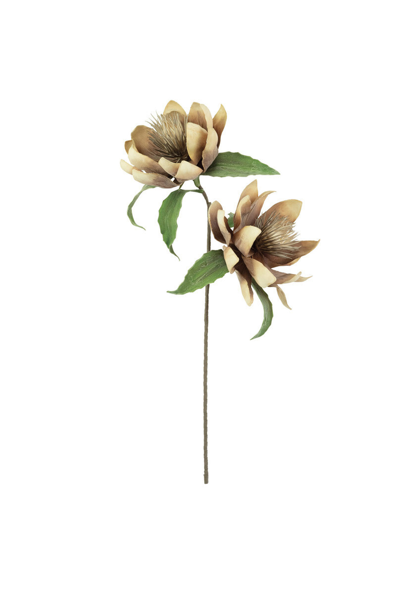 Botanica #3434S Botanica #3434S