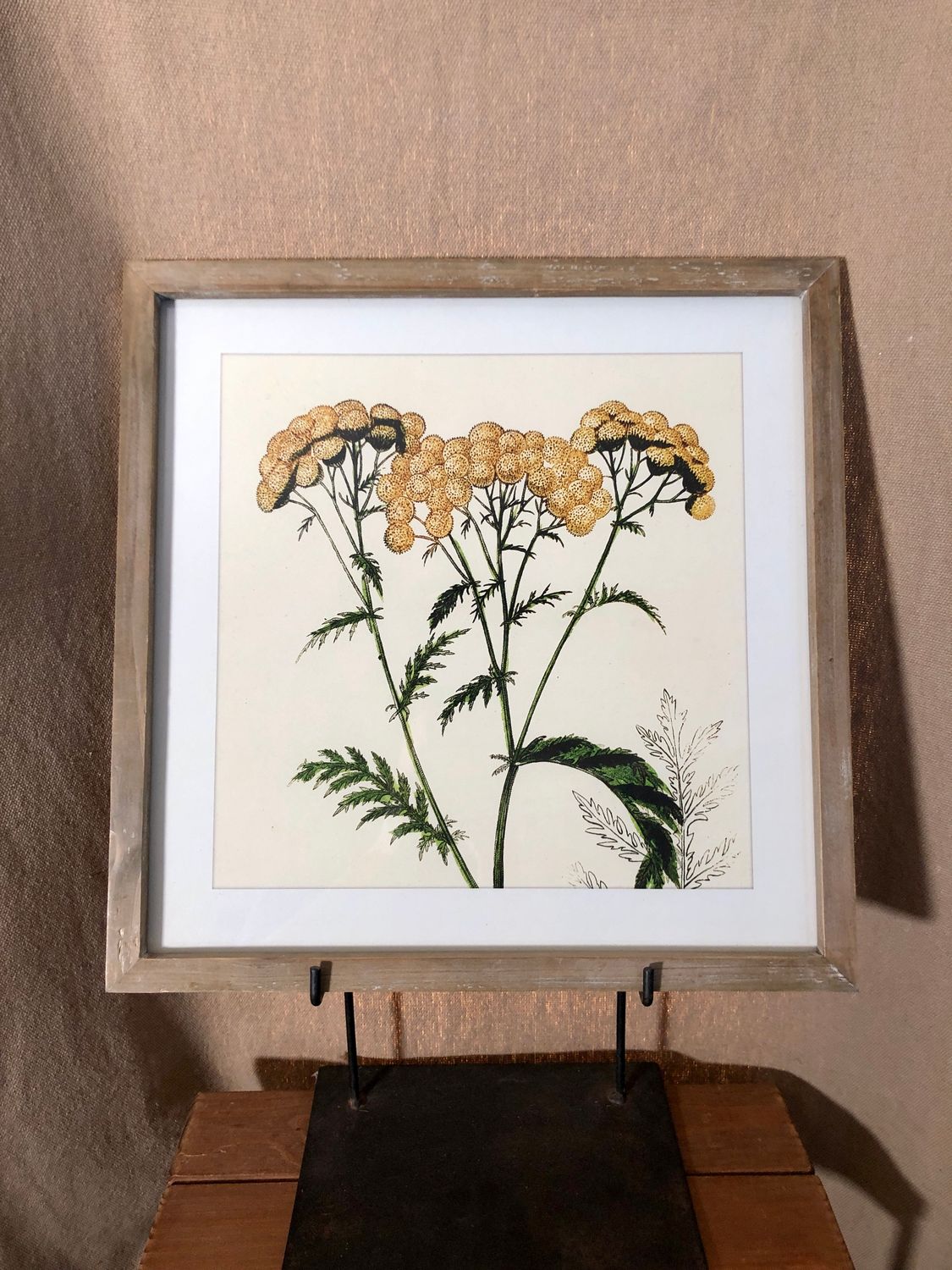 Framed Flower Print Under Glass I 16" x 16.5" Framed Flower Print Under Glass I 16" x 16.5"