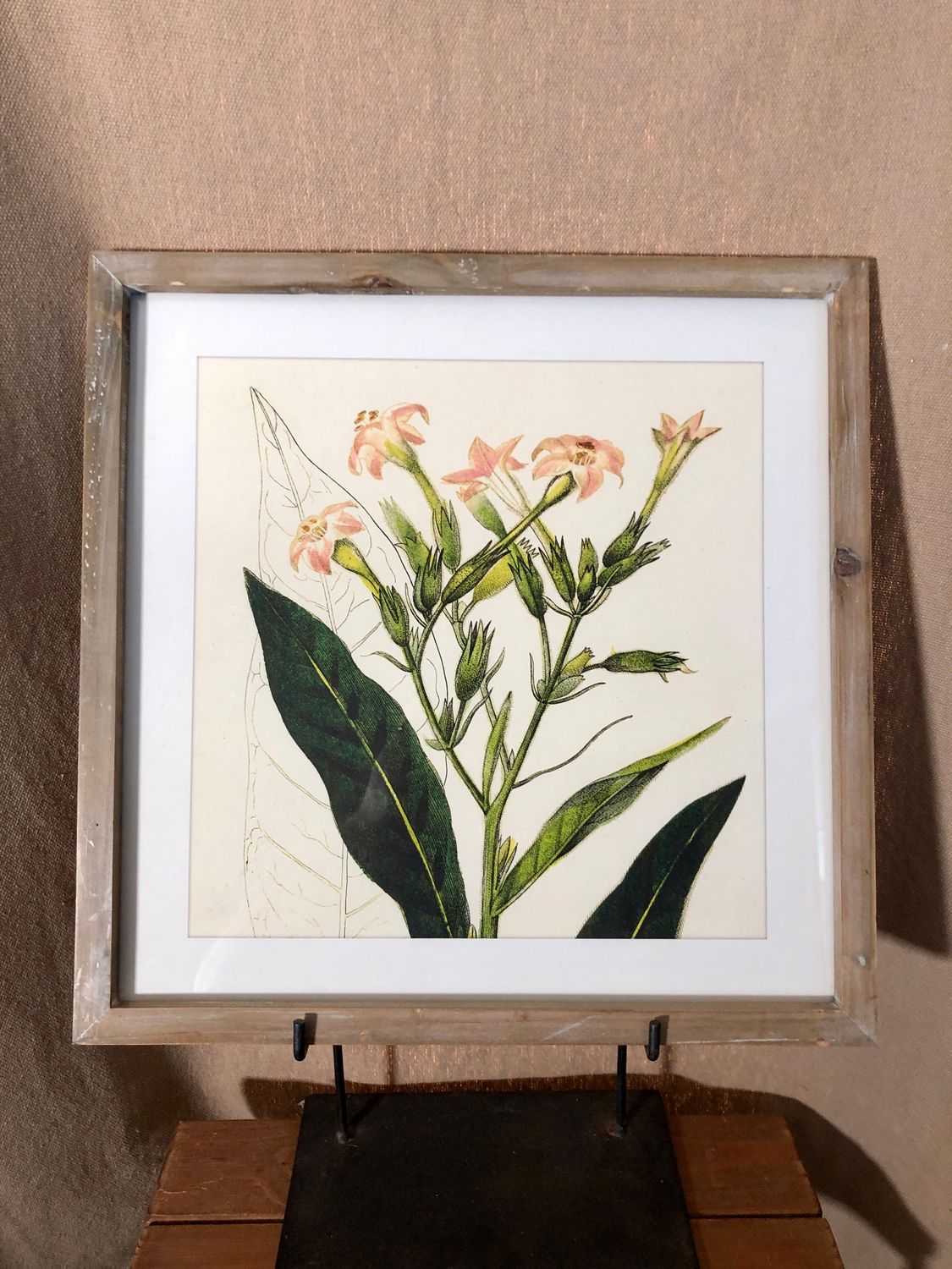 Framed Flower Print Under Glass IV 16" x 16.5"
