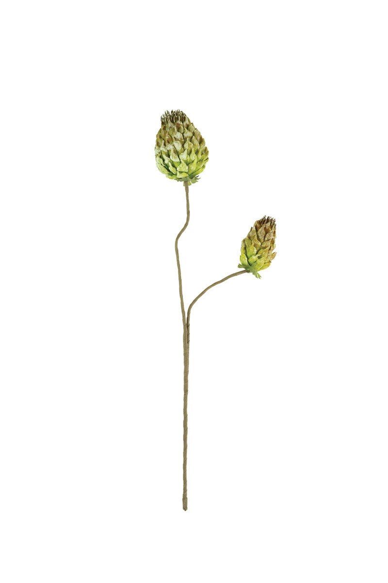 Botanica #3559 Botanica #3559