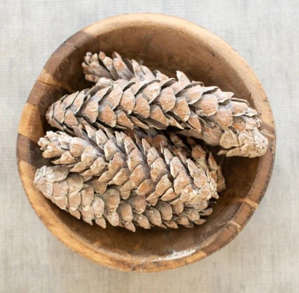 Bag of 6 Strobus Pinecones - Frosted White Bag of 6 Strobus Pinecones - Frosted White
