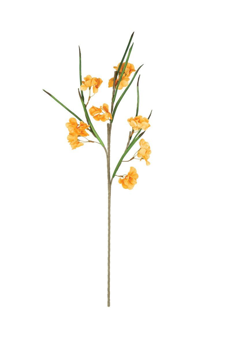 Botanica #3585 Botanica #3585