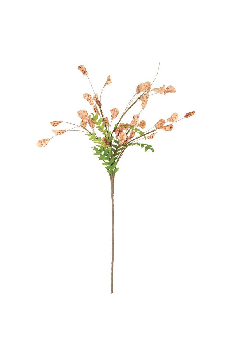 Botanica #3576 Botanica #3576
