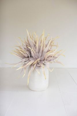 Botanica #2849