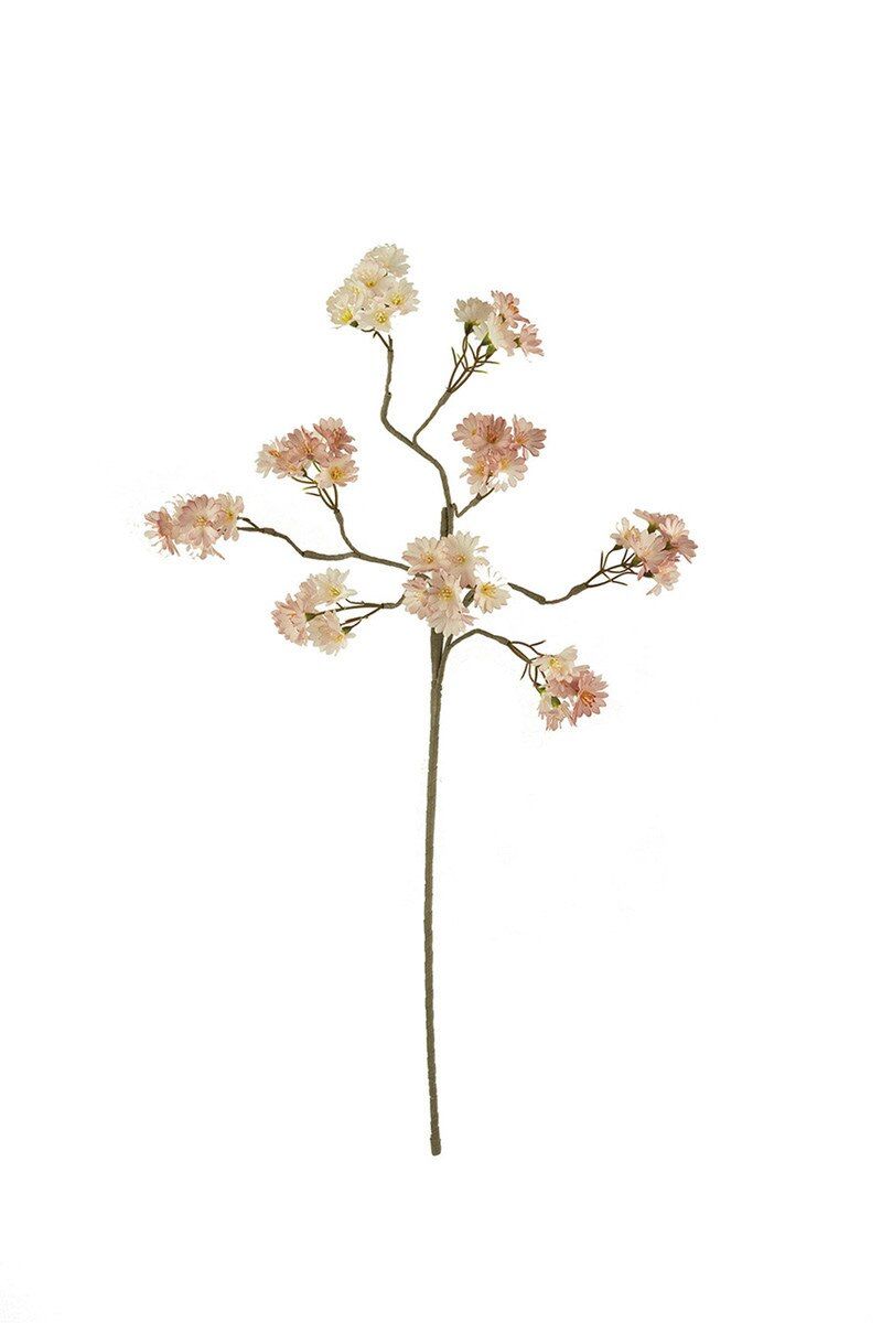Botanica #3506