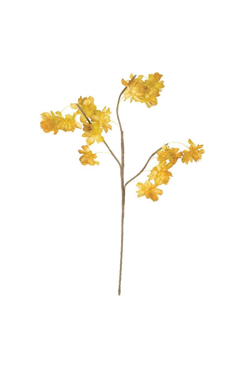 Botanica #3566 Botanica #3566