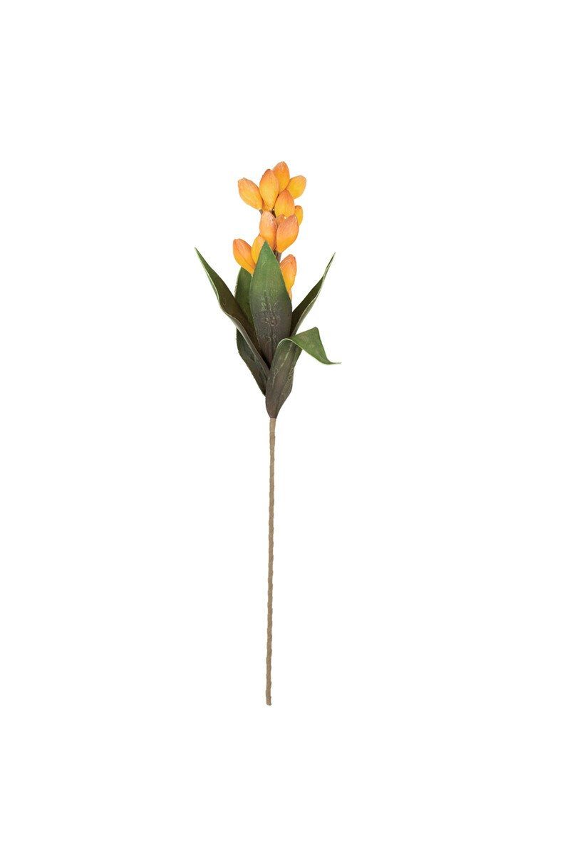 Botanica #3577 Botanica #3577