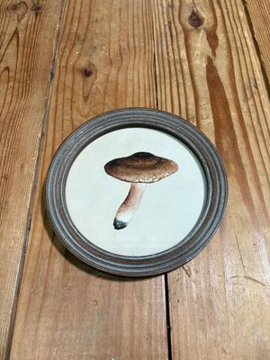 Round Framed Mushroom Print Under Glass I Round Framed Mushroom Print Under Glass I
