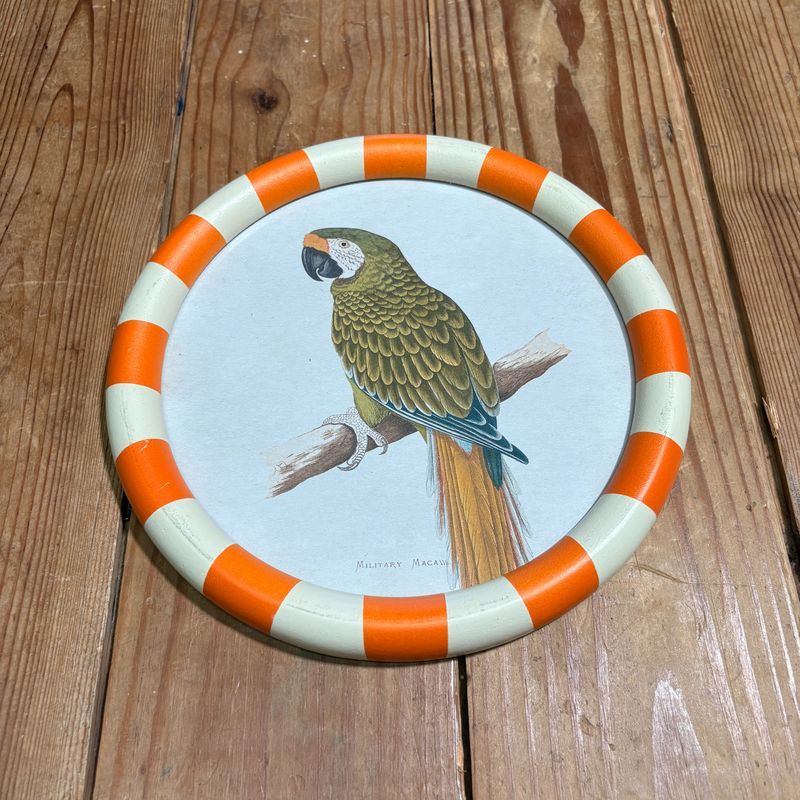 Round Framed Military Macaw Print Under Glass