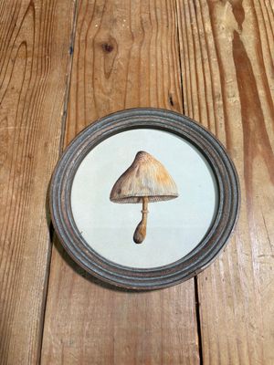 Round Framed Mushroom Print Under Glass V Round Framed Mushroom Print Under Glass V