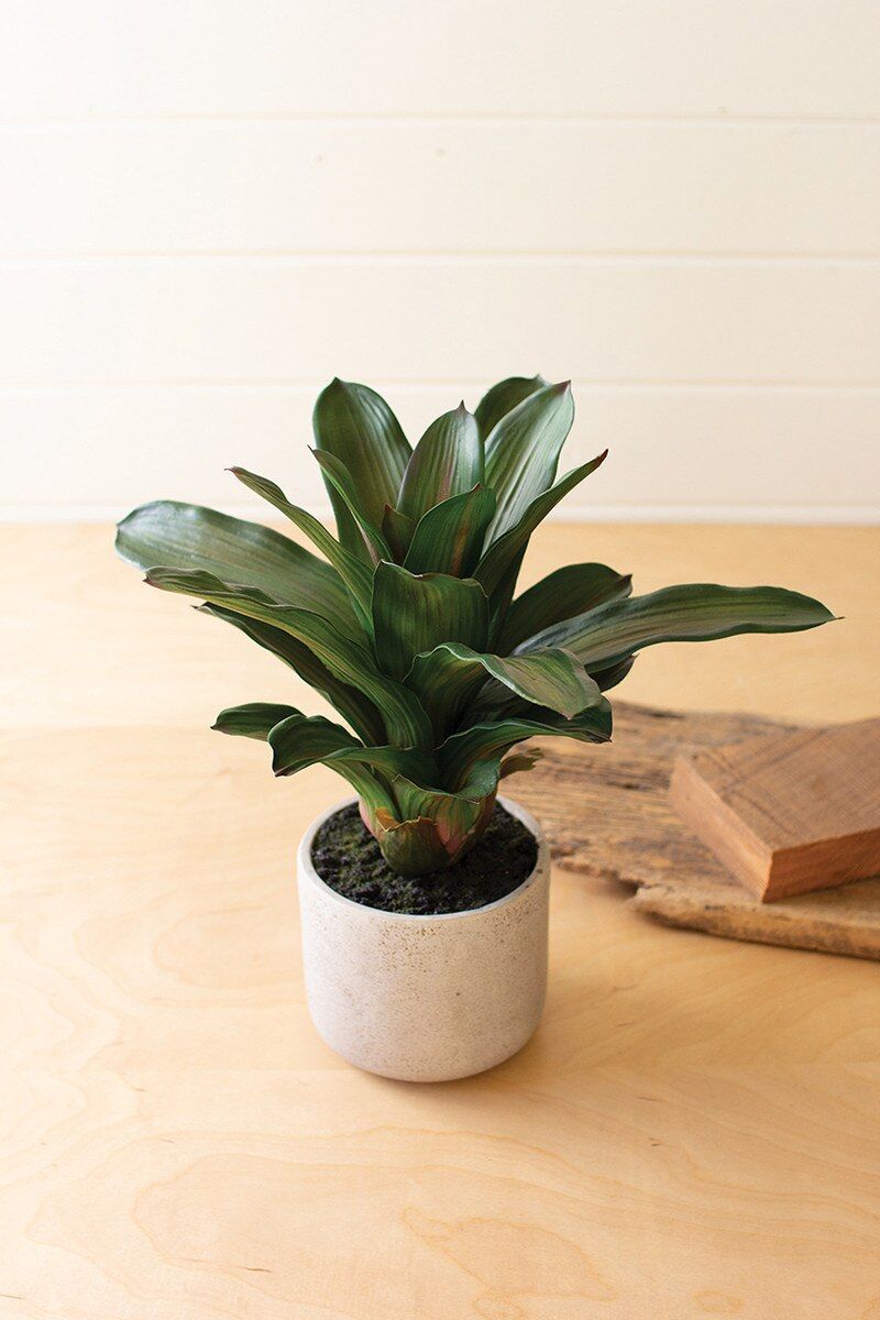 Artificial Succulent Plant in Ceramic Pot