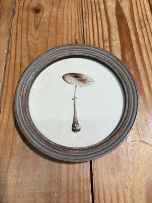 Round Framed Mushroom Print Under Glass III Round Framed Mushroom Print Under Glass III