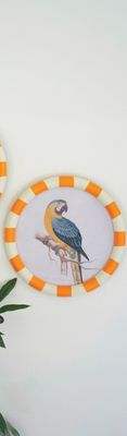 Round Framed Blue &amp; Yellow Macaw Print Under Glass