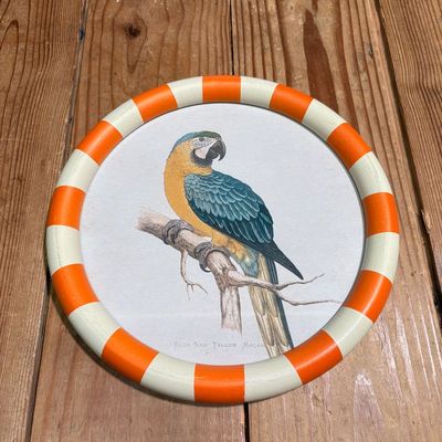 Round Framed Blue &amp; Yellow Macaw Print Under Glass