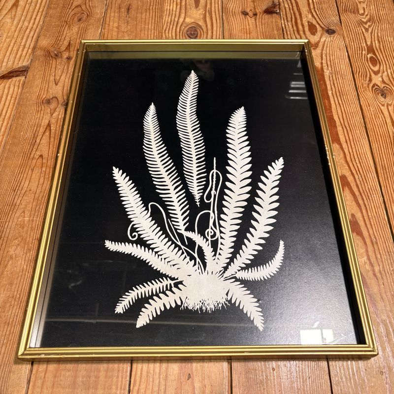 Black and White Fern Print Under Glass II Black and White Fern Print Under Glass II