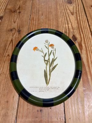Oval Framed Flower Print Under Glass I Oval Framed Flower Print Under Glass I