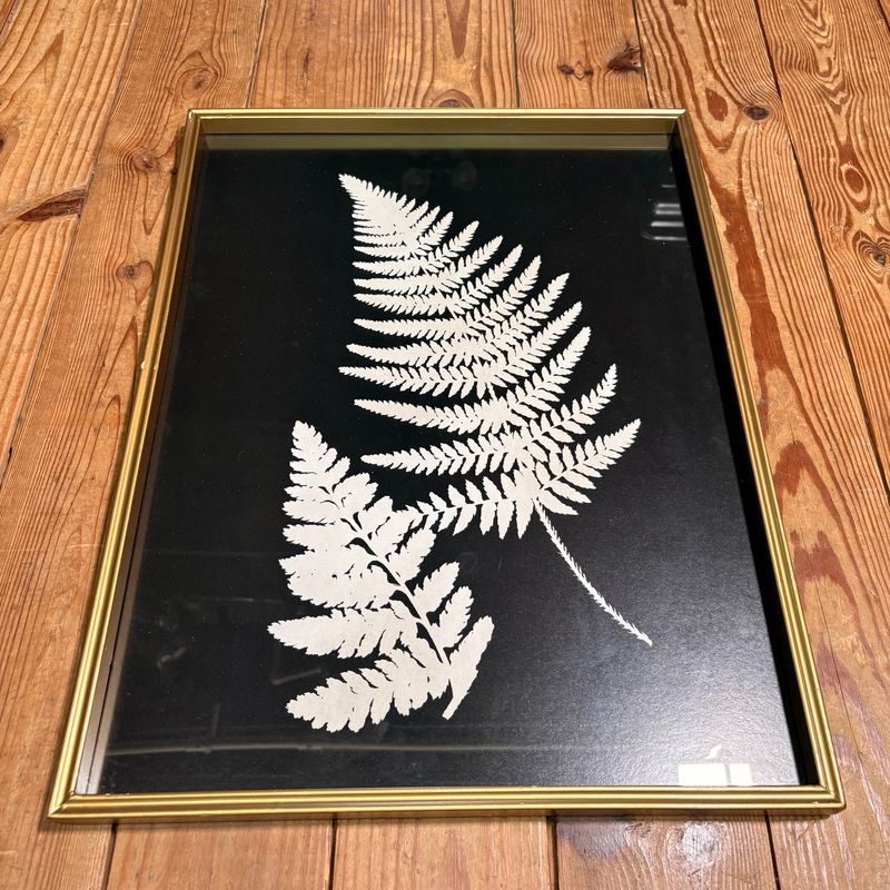 Black and White Fern Print Under Glass I Black and White Fern Print Under Glass I
