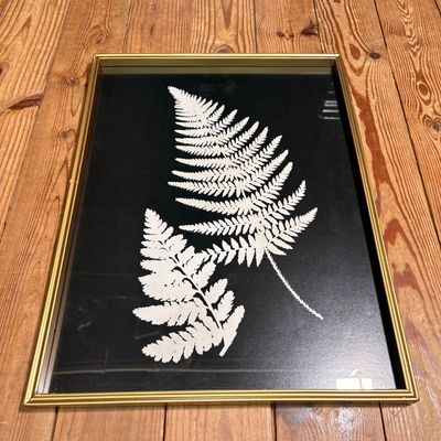 Black and White Fern Print Under Glass I Black and White Fern Print Under Glass I