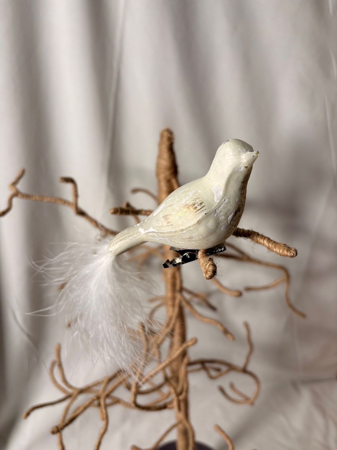 White Clip on Bird